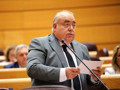 Tontxu Rodríguez en una sesión del Senado el 4 de septiembre de 2020.