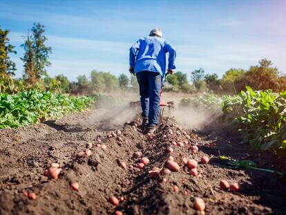 Urgencia de una solución inmediata para los autónomos de La Palma