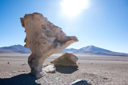 Cerca del desierto de Atacama en la frontera con Chile, comienzan algunas formaciones rocosas. El árbol de piedra, frente a la cordillera de los Andes, es una de las imágenes icónicas.