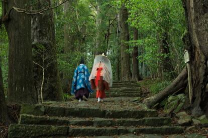 En la Kumano Kodō, antigua ruta de peregrinos del sur de Kansai, no es difícil imaginar los tiempos antiguos en los que las mercancías se transportaban a cuestas por sinuosos caminos de montañas. Este antiguo sendero de peregrinos, que podría recordarnos a nuestro Camino de Santiago, atraviesa bosques de cedros, visitan santuarios e invita a hospedarse en alojamientos confortables. Y como remate perfecto, un buen remojón en algunos de los mejores onsen de la región.