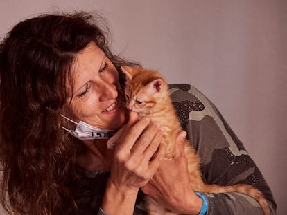 Cómo vivir junto a 600 gatos callejeros