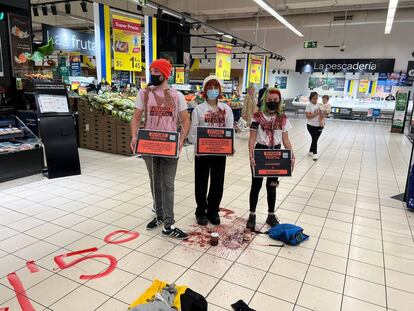 Miembros de Futuro Vegetal se encadenan en el Carrefour de Santa Cruz de Tenerife para protestar contra la crisis climática.