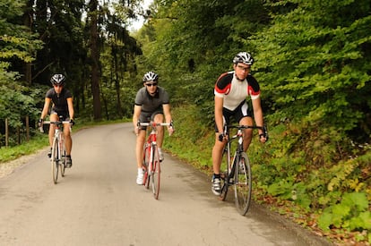 <p>Pedalear es una actividad perfecta para eliminar los rebotes. "Como en el caso de la elíptica, <strong>permite sustituir la carrera continua y sirve tanto una sesión de bicicleta estática o salir a rodar por la calle</strong>. Lo importante es que haya tramos de alta intensidad", indica Gallardo. ¿Cuánto es eso? "Depende de la forma física de cada persona, pero siempre debería estar por encima del 70-80%".</p> <p>Para Gallardo es fundamental incluir siempre <a href="https://elpais.com/elpais/2018/10/18/buenavida/1539859930_370486.html" target="_blank">unos minutos de calentamiento antes del entrenamiento y otros tantos al final para enfriar</a>. "En la parte central, me gusta poner <em>fartleks</em> —cambios de ritmos—, para asimilarlo a lo que sería un H.I.T.T". Si le damos con toda nuestra alma a los pedales <strong>podemos quemar hasta 391 kcal en media hora</strong>.</p> <p>En caso de lumbalgias o hernias discales, conviene consultar si podemos realizar este entrenamiento con nuestro fisioterapeuta o médico, aconseja Gallardo. Mientras tanto, es cuestión de no forzar la postura en la bicicleta, mantener la espalda sin curvarla excesivamente y bajarnos al menor indicio de dolor.</p>