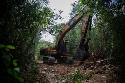Una excavadora abre camino para la construcción del Tren Maya en el ejido Leona Vicario, en Quintana Roo, en mayo de este año.
