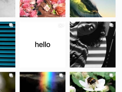 Apple llega a Instagram para que publiques fotos realizadas con tu iPhone