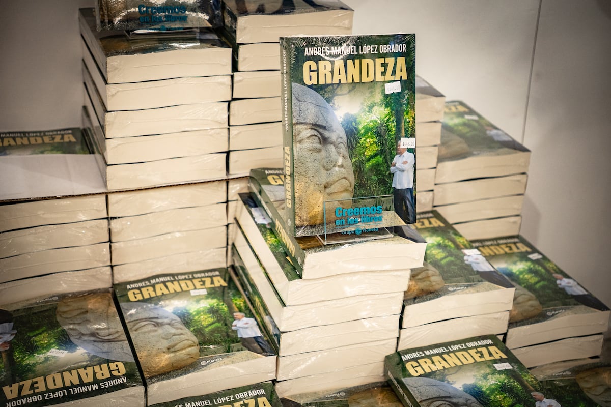 Mexico's Lopez Obrador criticizes US offensive against the cartels: It violates the sovereignty of other nations'