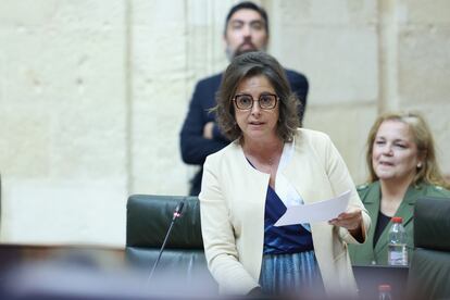 La consejera andaluza de Salud, Catalina García. durante una intervención en el Pleno del Parlamento andaluz, el 11 de abril.