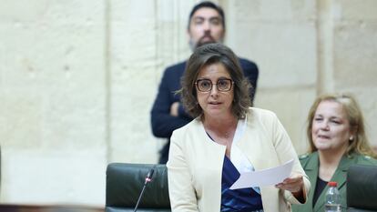 La consejera andaluza de Salud, Catalina García. durante una intervención en el Pleno del Parlamento andaluz, el 11 de abril.