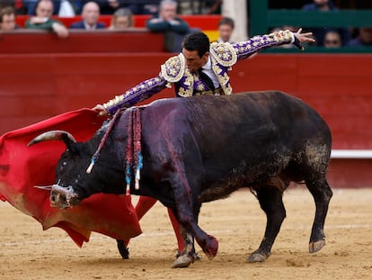 El diestro, José María Manzanares, da un pase a su segundo astado durante la corrida de toros de la Feria de Fallas, el 17 de marzo.