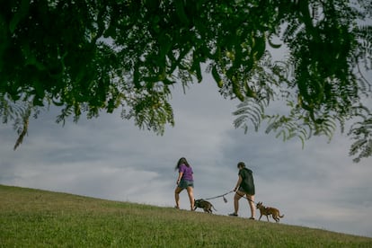 La familia de acogida pase a 'Buddy' y a su otra perra, 'Zeta'.