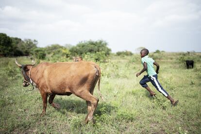 En Mozambique, el trabajo infantil no es una excepción. Casi un tercio de los niños en Mozambique no estudia. Según un estudio realizado por la Universidad local Eduardo Mondlane, el 44% de los niños y adolescentes son forzados a trabajar en el comercio ilegal, el 14% para ayudar a la familia y el 11% en los campos familiares.