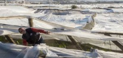 The notorious “sea of plastic” that covers much of El Ejido.