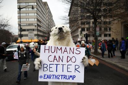 Un manifestante disfrazado de oso sujeta una pancarta durante una protesta, en Washington.