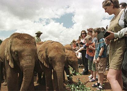 Turistas junto a unas crías de elefante en un parque nacional próximo a Nairobi (Kenia).