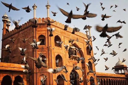 Mezquita Jama Masjid, en Delhi.