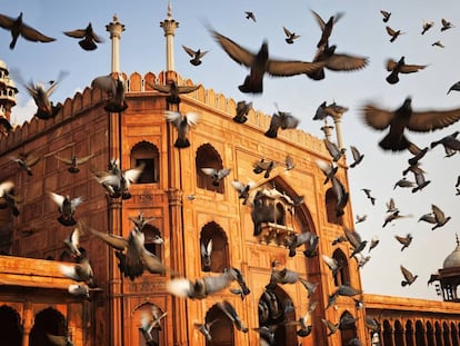 Mezquita Jama Masjid, en Delhi.