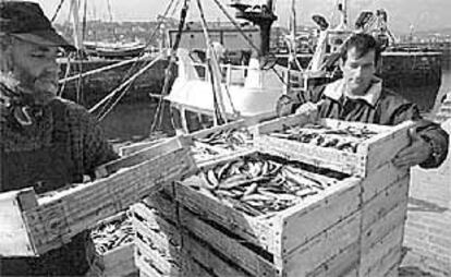 Dos pescadores descargan cajas de anchoa en un puerto vasco.