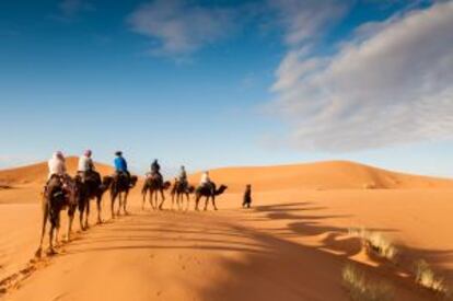 Una caravana de turistas en camello en el desierto de Erg Chebbi, en Marruecos.