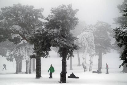 Nieve en el Puerto de Navacerrada.