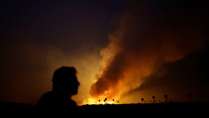 Un hombre observa el humo que sale del fuego en el Pantanal, en el Estado de Matto Grosso do Sul (Brasil), el 12 de junio.