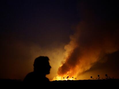 Un hombre observa el humo que sale del fuego en el Pantanal, en el Estado de Matto Grosso do Sul (Brasil), el 12 de junio.