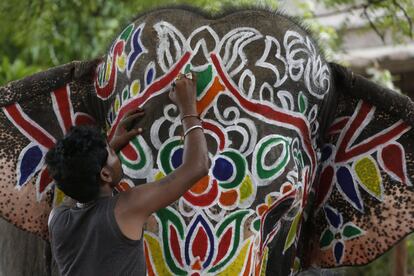 Un hombre indio pinta motivos decorativos en un elefante antes de la preparación de la Rath Yatra anual, o la procesión de los carros, en Ahmedabad, India. Los tres ídolos del dios hindú de Jagannath, su hermano y su hermana Subhadra Balabhadra son llevados en una gran procesión en carros hechos especialmente para la ocasión, que son arrastrados por miles de devotos.                       Sugerir