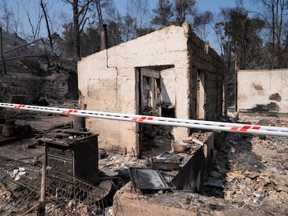 Restos de la vivienda de Patricia Araya, funcionaria del Jardín Botánico de Viña del Mar, afectada por el fuego, el pasado día 5.