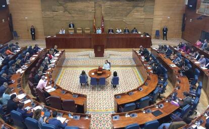 Pleno de la Asamblea de Madrid.