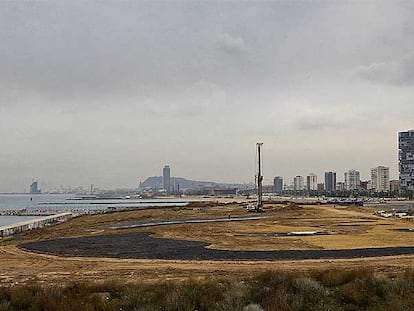 Equipo de asesores para el futuro zoo marino