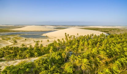 Coqueiros, dunas e lagoas naturais marcam a paisagem.