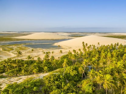 Coqueiros, dunas e lagoas naturais marcam a paisagem.