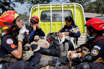 Bombeiros carregam nos braços mascotes resgatadas depois da erupção do Vulcão de Fogo em San Miguel Os Lotes, na Guatemala.