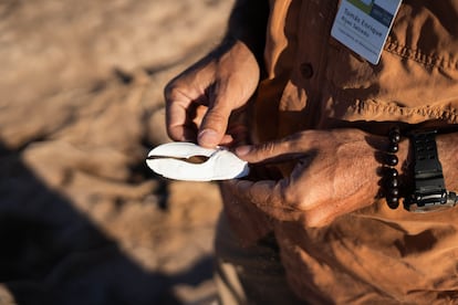 Rivas Salcedo inspecciona la pinza seca de un cangrejo violinista en el delta del río Colorado.