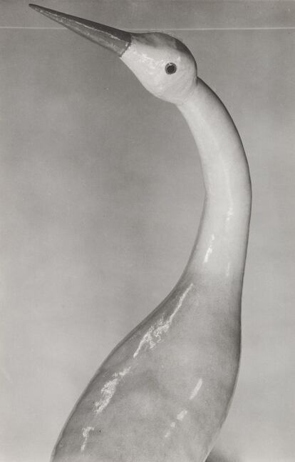 'Garza blanca' (1926), Edward Weston.