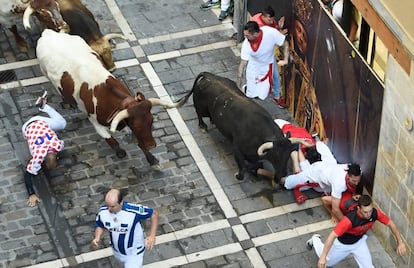 Los participantes corren junto a los toros de la ganadería Núñez del Cuvillo.