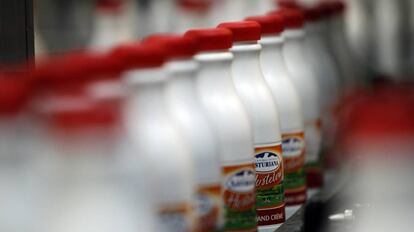 Botellas de leche en la f&aacute;brica de Central Lechera Asturiana, en Asturias.