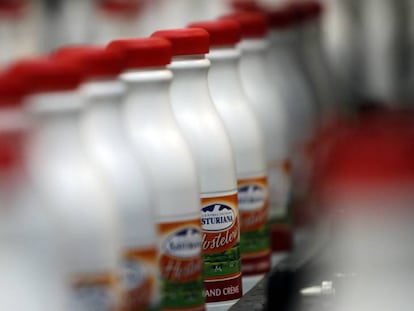 Botellas de leche en la f&aacute;brica de Central Lechera Asturiana, en Asturias.