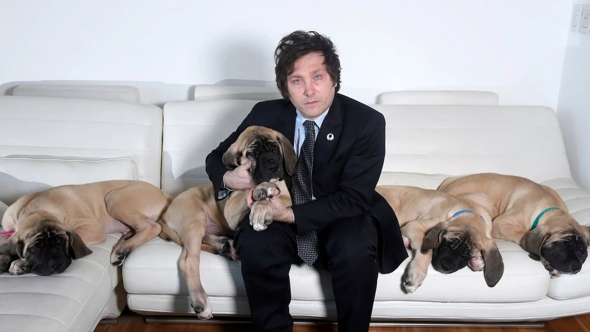 All of Argentina knows that the president, Javier Milei, adores his “little four-legged children,” as he calls the dogs that live with him in Quin