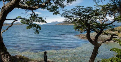 Imagen del Parque Nacional Tierra del Fuego, en la Patagonia argentina.