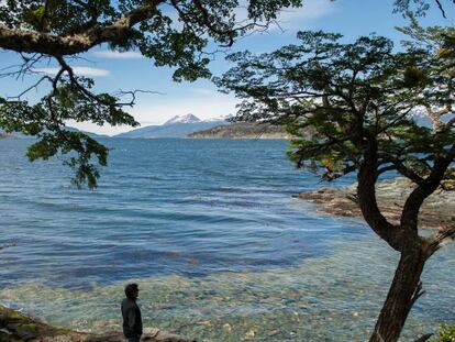 Imagen del Parque Nacional Tierra del Fuego, en la Patagonia argentina.