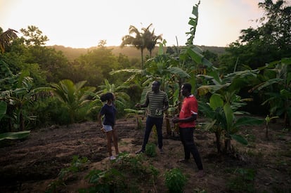 NO USAR SOLO PARA EL TEXTO:
Las mil y una formas de reparar las heridas de la colonización en el Caribe