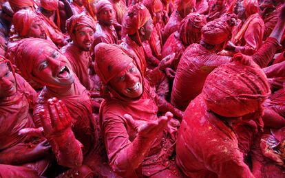 Varias personas cubiertas de polvo de color rojo participan en la celebracin del festival hind de Holi en el templo de Radha Ran, en Mathura (India).