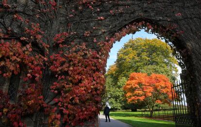 Visitantes pasean por los jardines de Stourhead (Gran Bretaña).