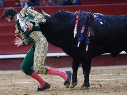 Padilla recibe una cornada en las Fallas