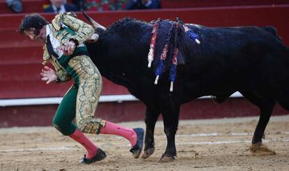 Padilla recibe una cornada en las Fallas