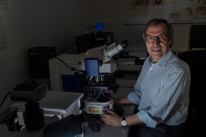 El neurólogo Josep Dalmau, en su laboratorio del IDIBAPS, en el Hospital Clínic de Barcelona.