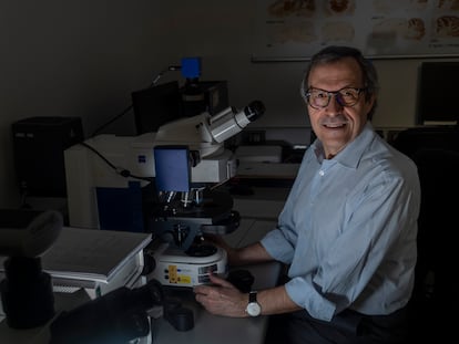 El neurólogo Josep Dalmau, en su laboratorio del IDIBAPS, en el Hospital Clínic de Barcelona.