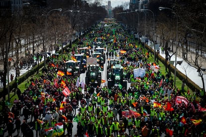 Manifestación de agricultores y ganaderos por las calles de Madrid, el 26 de febrero.