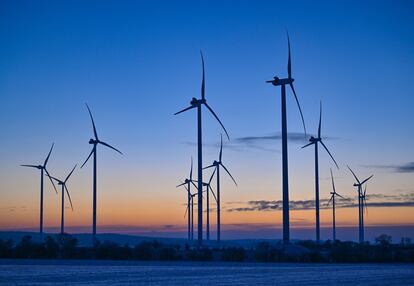 Inactive wind turbines in Jacobsdorf (Brandenburg) last January.