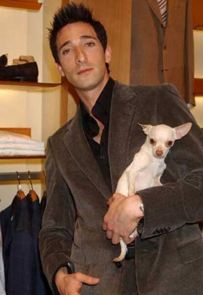 Adrien Brody, con su perro <i>Ceelo.</i>
